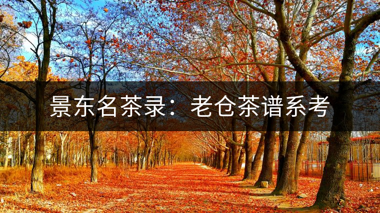 景東名茶錄:老倉茶譜系考 景東名茶錄:老倉茶譜系考