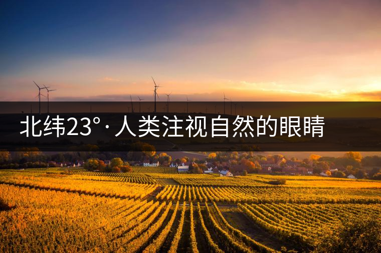 北緯23°·人類注視自然的眼睛——探訪中科院哀牢山生態(tài)站
