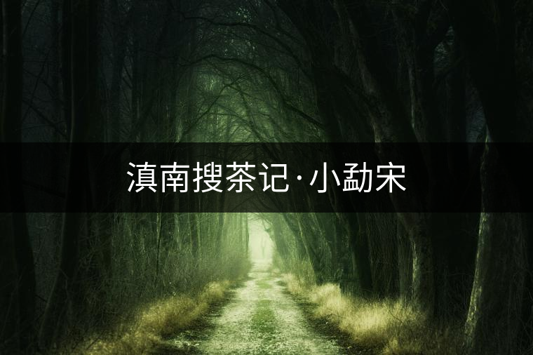 滇南搜茶記·小勐宋 滇南搜茶記·小勐宋