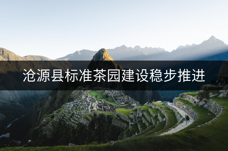 滄源縣標準茶園建設穩(wěn)步推進 滄源縣標準茶園建設穩(wěn)步推進