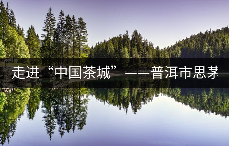 走進(jìn)“中國茶城”——普洱市思茅區(qū)(組圖) 走進(jìn)“中國茶城”——普洱市思茅區(qū)(組圖)