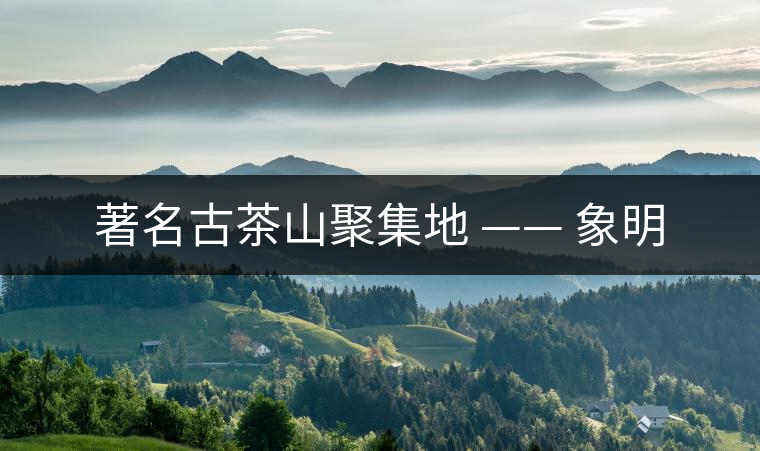 著名古茶山聚集地 —— 象明 著名古茶山聚集地 —— 象明