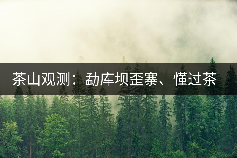 茶山觀測：勐庫壩歪寨、懂過茶山、大戶寨等茶山的生態(tài)指數(shù)