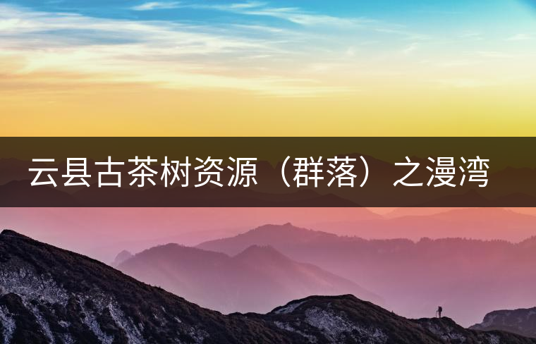 云縣古茶樹資源（群落）之漫灣鎮(zhèn)、茂蘭鎮(zhèn)大丙山