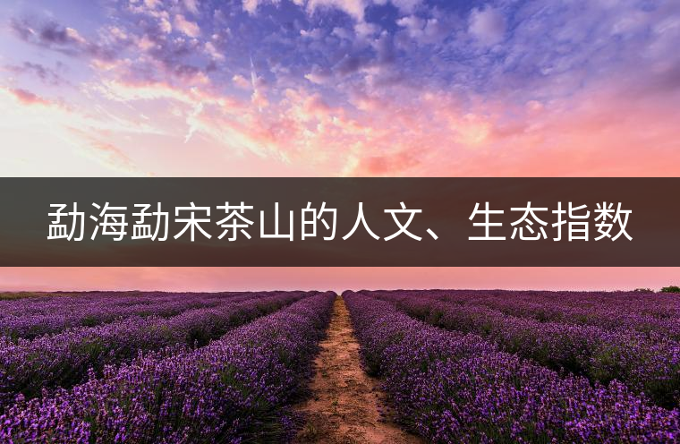 勐海勐宋茶山的人文、生態(tài)指數(shù)