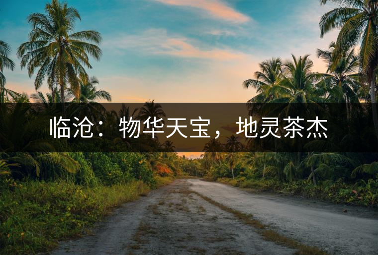 臨滄：物華天寶，地靈茶杰