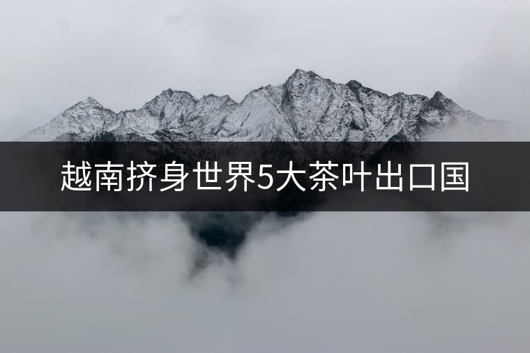 越南擠身世界5大茶葉出口國 越南擠身世界5大茶葉出口國