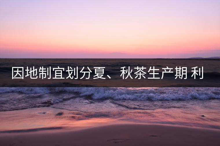 因地制宜劃分夏、秋茶生產(chǎn)期 利于采摘品質(zhì)