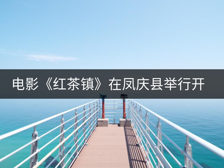 電影《紅茶鎮(zhèn)》在鳳慶縣舉行開機(jī)儀式 電影《紅茶鎮(zhèn)》在鳳慶縣舉行開機(jī)儀式