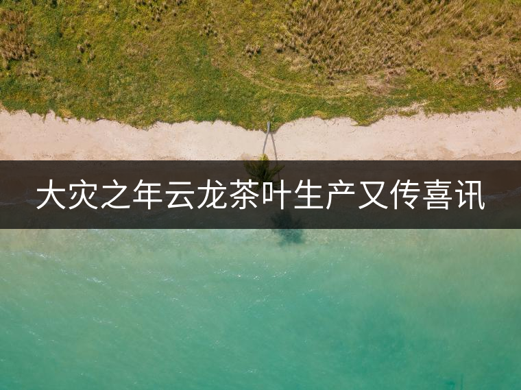 大災(zāi)之年云龍茶葉生產(chǎn)又傳喜訊 大災(zāi)之年云龍茶葉生產(chǎn)又傳喜訊