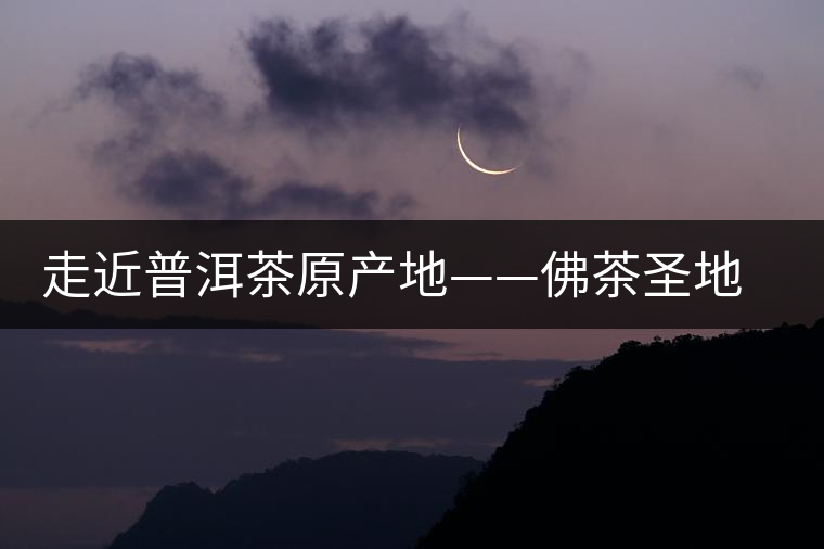 走近普洱茶原產(chǎn)地——佛茶圣地白鶯山