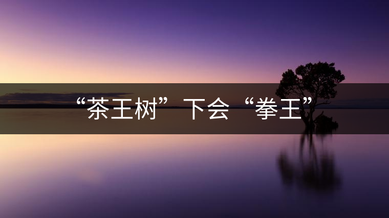 “茶王樹”下會“拳王”