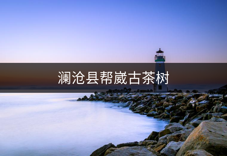瀾滄縣幫崴古茶樹(shù) 瀾滄縣幫崴古茶樹(shù)