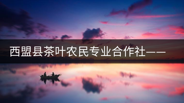 西盟縣茶葉農(nóng)民專業(yè)合作社——探索普洱茶古樹茶未來發(fā)展模式 西盟縣茶葉農(nóng)民專業(yè)合作社——探索普洱茶古樹茶未來發(fā)展模式