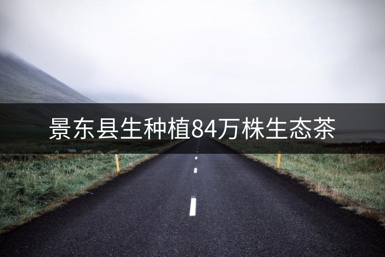 景東縣生種植84萬(wàn)株生態(tài)茶 景東縣生種植84萬(wàn)株生態(tài)茶
