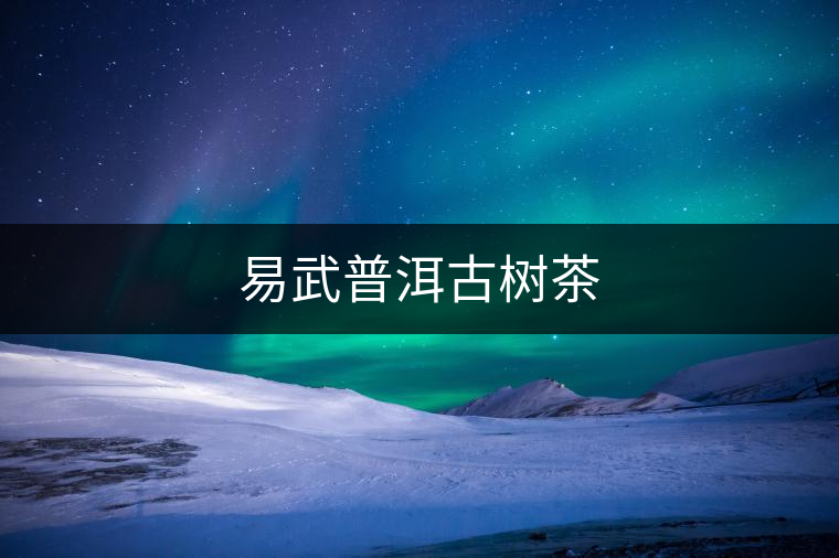 易武普洱古樹茶