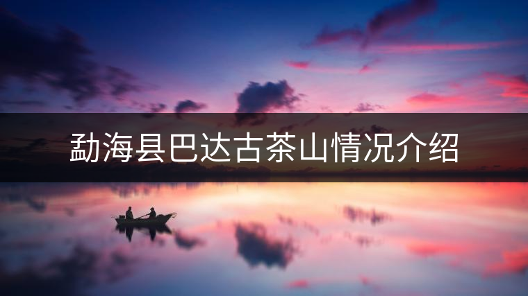 勐?？h巴達(dá)古茶山情況介紹