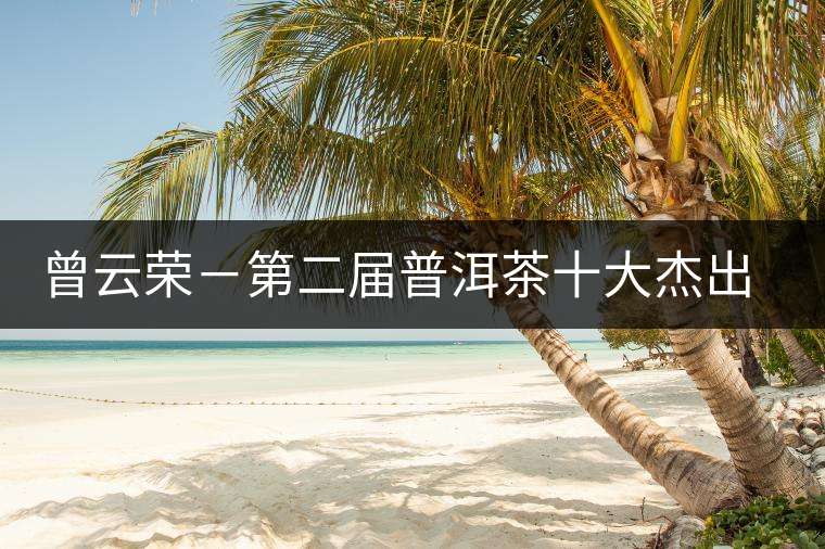 曾云榮-第二屆普洱茶十大杰出人物介紹 曾云榮-第二屆普洱茶十大杰出人物介紹