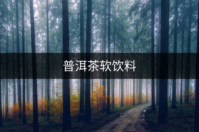 普洱茶軟飲料 普洱茶軟飲料