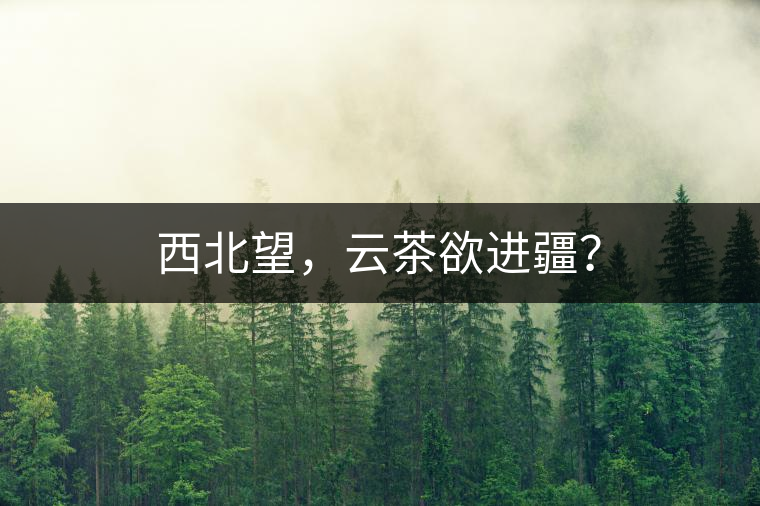 西北望，云茶欲進(jìn)疆？