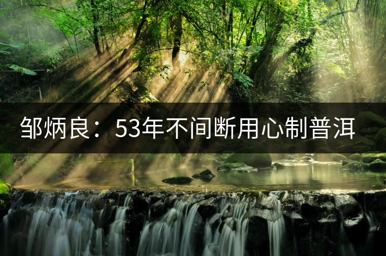 鄒炳良:53年不間斷用心制普洱茶的老同志 鄒炳良:53年不間斷用心制普洱茶的老同志