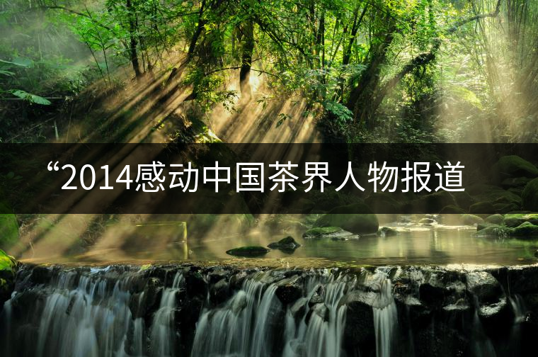 “2014感動中國茶界人物報道(四)”茶人彭峰:用夢想做拐杖 “2014感動中國茶界人物報道(四)”茶人彭峰:用夢想做拐杖