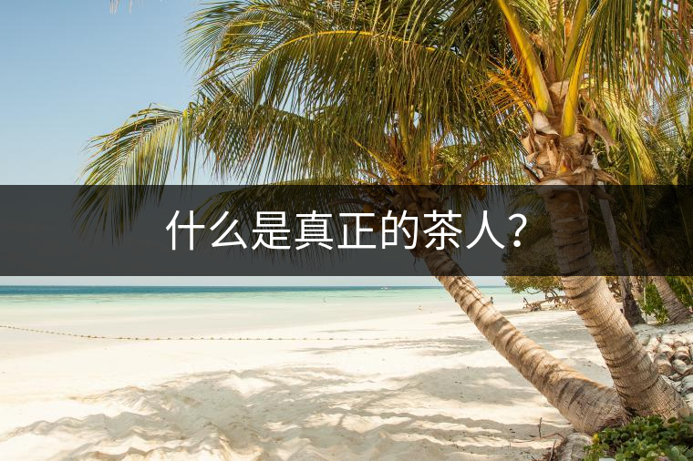 什么是真正的茶人？