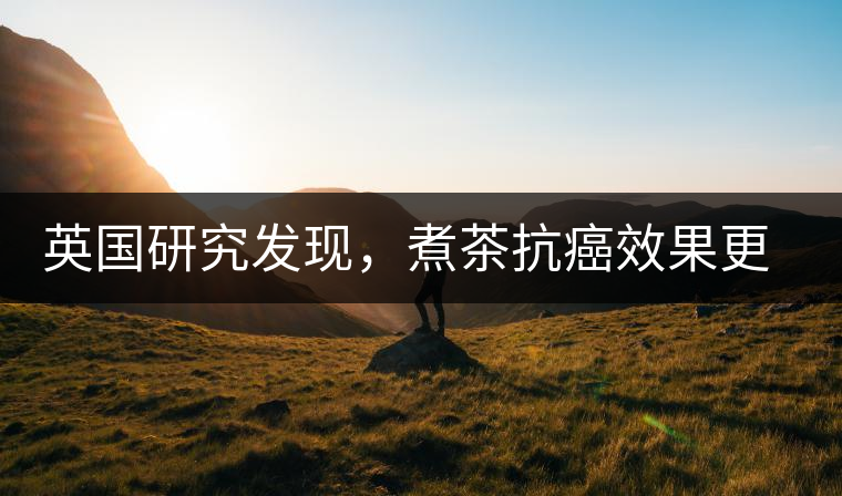 英國研究發(fā)現(xiàn)，煮茶抗癌效果更明顯