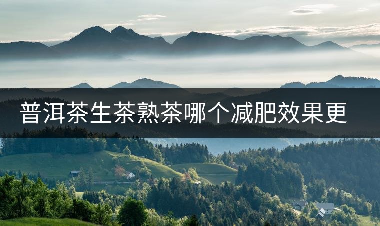 普洱茶生茶熟茶哪個(gè)減肥效果更好 普洱茶生茶熟茶哪個(gè)減肥效果更好