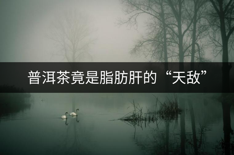 普洱茶竟是脂肪肝的“天敵” 普洱茶竟是脂肪肝的“天敵”