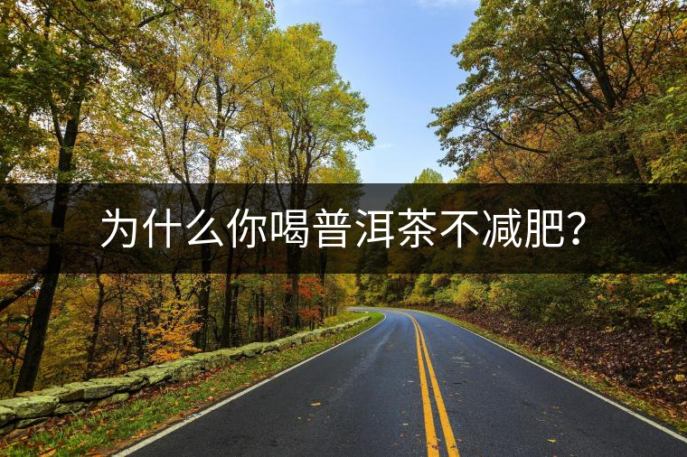 為什么你喝普洱茶不減肥？