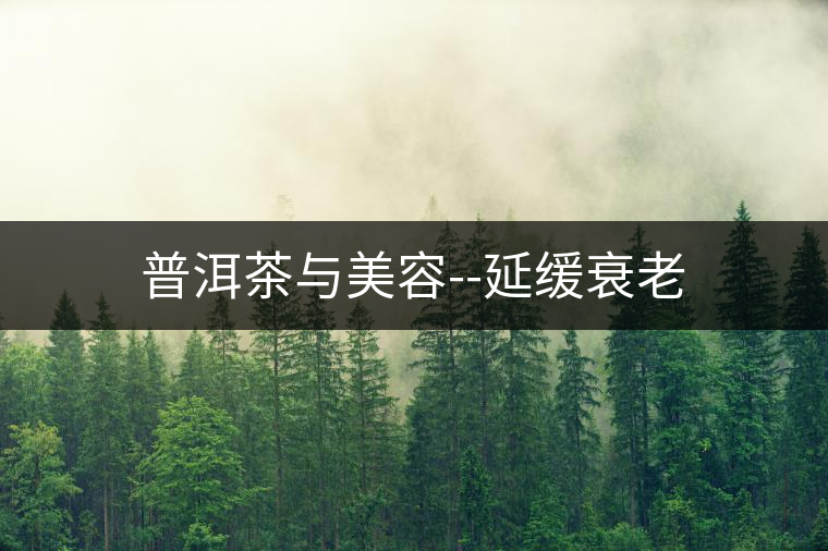 普洱茶與美容--延緩衰老