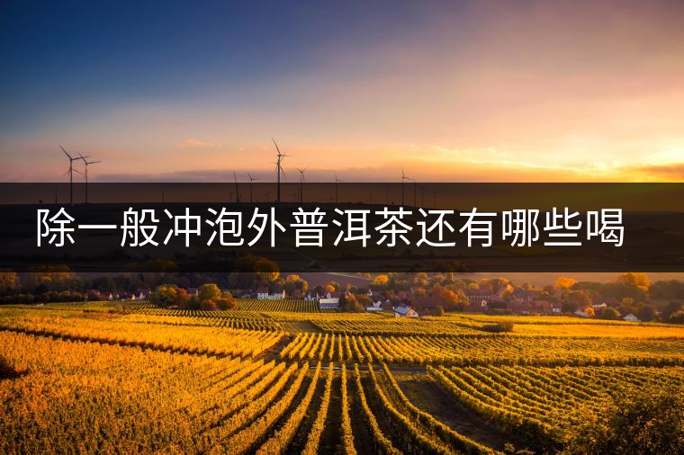 除一般沖泡外普洱茶還有哪些喝法？