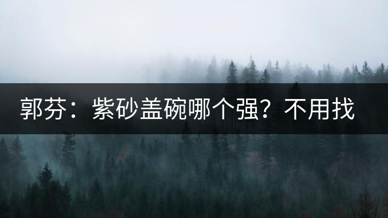 郭芬：紫砂蓋碗哪個強(qiáng)？不用找藍(lán)翔