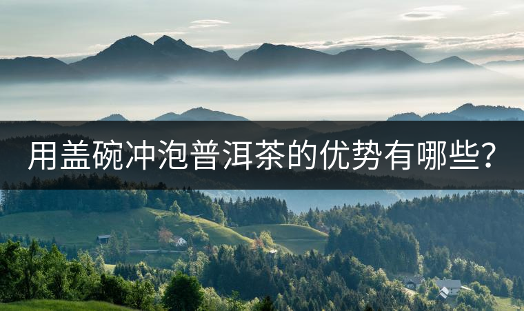 用蓋碗沖泡普洱茶的優(yōu)勢有哪些？