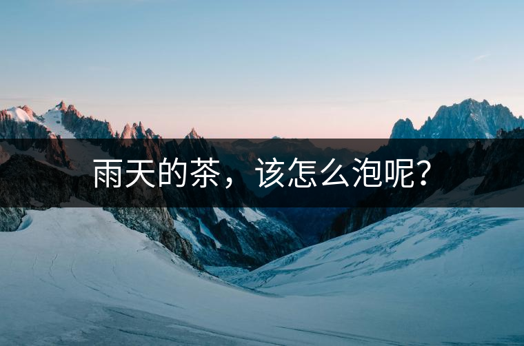 雨天的茶，該怎么泡呢？