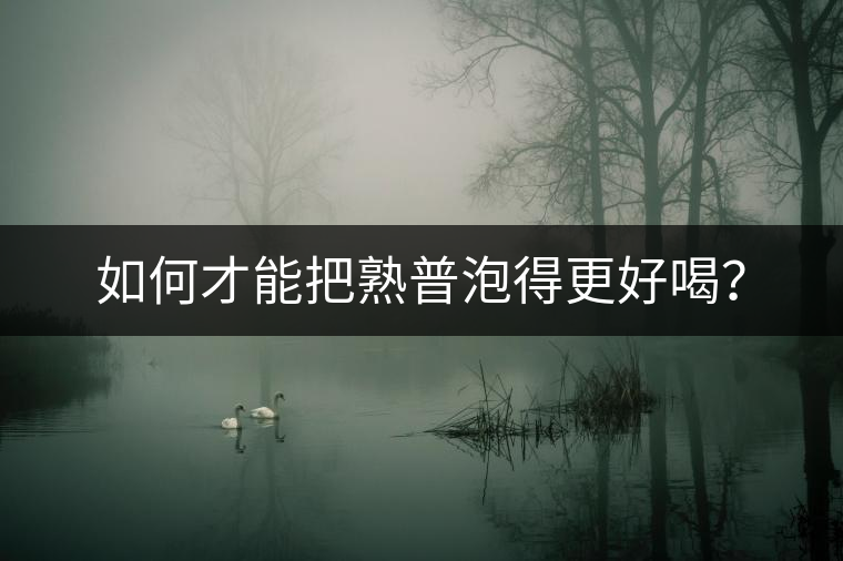 如何才能把熟普泡得更好喝？