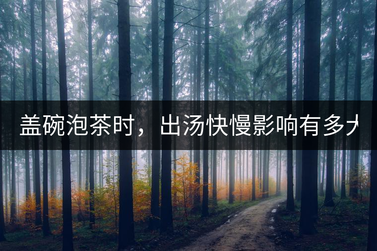 蓋碗泡茶時，出湯快慢影響有多大？