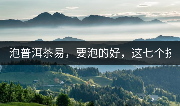 泡普洱茶易，要泡的好，這七個(gè)技巧很重要！