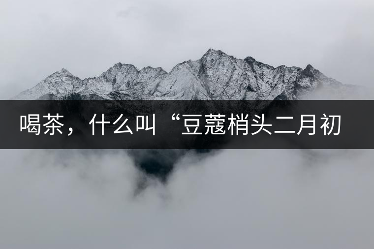 喝茶，什么叫“豆蔻梢頭二月初”？