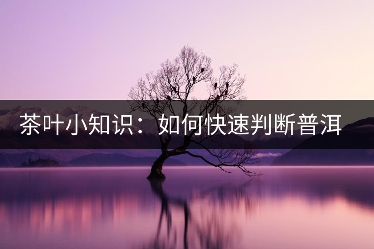 茶葉小知識：如何快速判斷普洱茶品級高低？