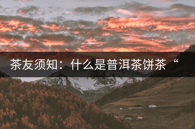 茶友須知：什么是普洱茶餅茶“八病”？如何鑒別？