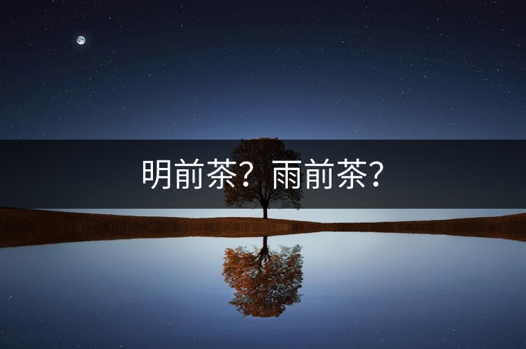 明前茶？雨前茶？