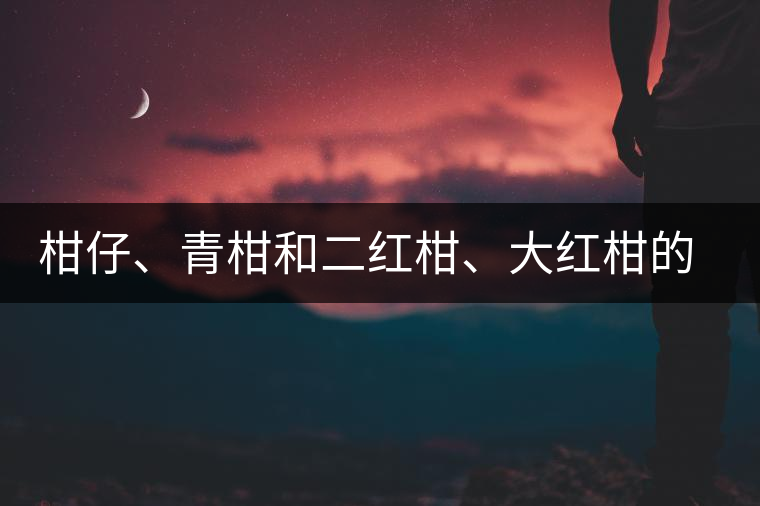 柑仔、青柑和二紅柑、大紅柑的區(qū)別，你可知道？