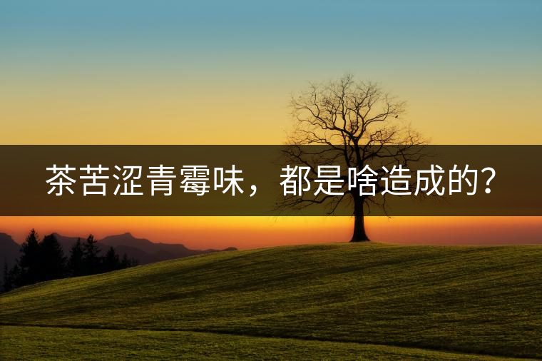 茶苦澀青霉味，都是啥造成的？