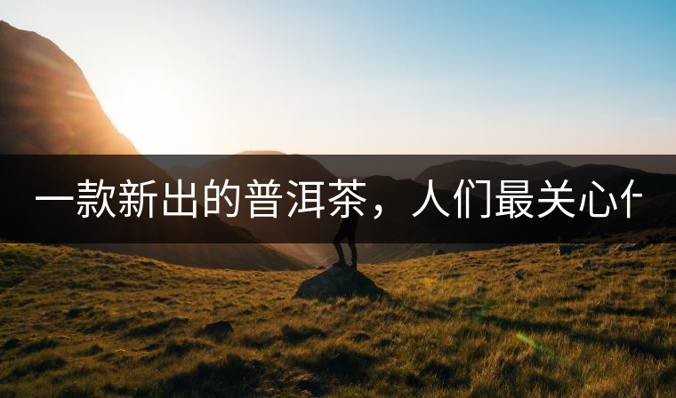 一款新出的普洱茶，人們最關(guān)心什么?