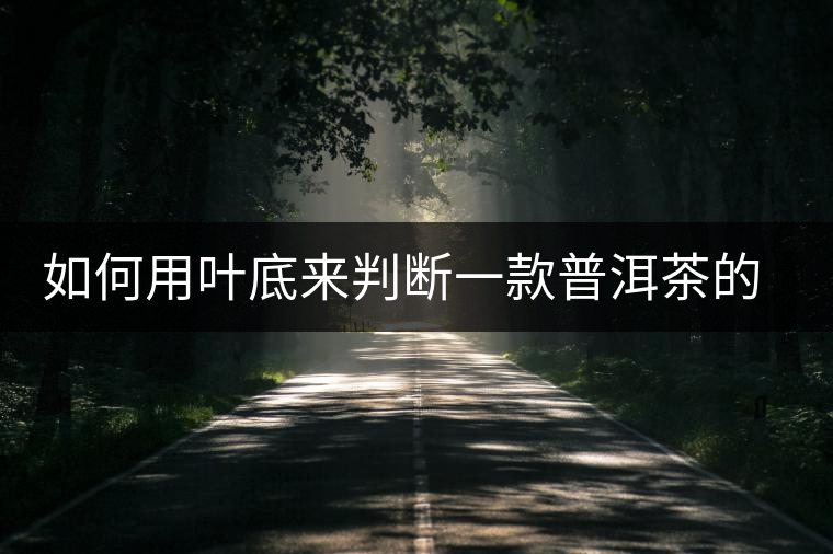 如何用葉底來(lái)判斷一款普洱茶的優(yōu)劣？
