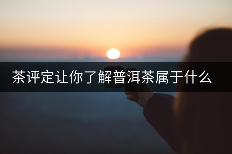 茶評定讓你了解普洱茶屬于什么茶系？