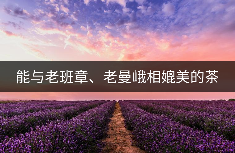 能與老班章、老曼峨相媲美的茶