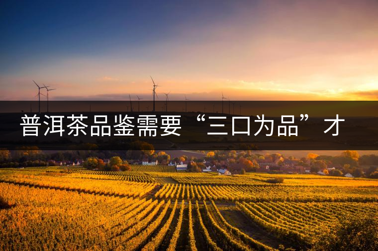 普洱茶品鑒需要“三口為品”才真實(shí)，那從哪里入手品鑒呢？